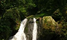 溪—坚持—瀑布_700字