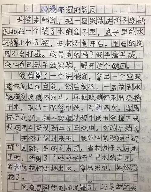 三年级写作组成：我的邻居_400字
