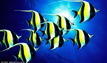 生命的色彩_800字