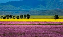 江南，塞北，西南_1000字