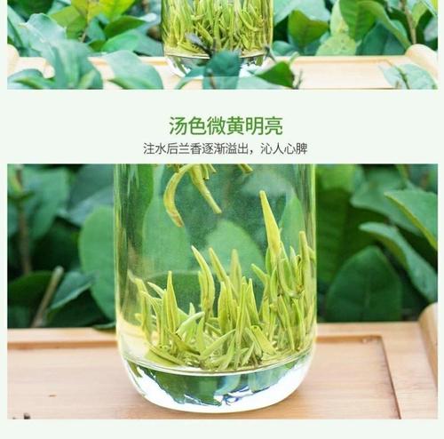 刘烨首先访问LAN _800字