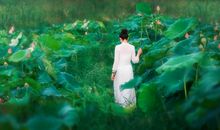 唯一的归宿（六）_1200字