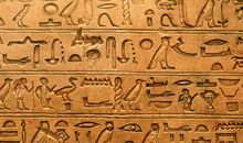 请揭开你的面纱，好吗？_550字