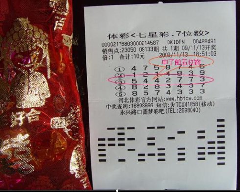 彩票_900字