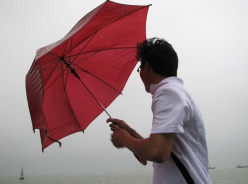 umbrella_500字