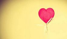 花儿永远青睐知错能改的人_450字