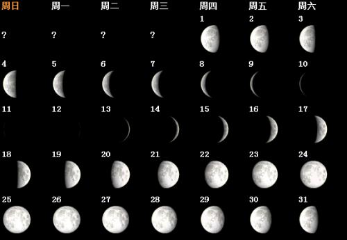 学习_550字的重要性