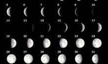 学习的重要性_550字