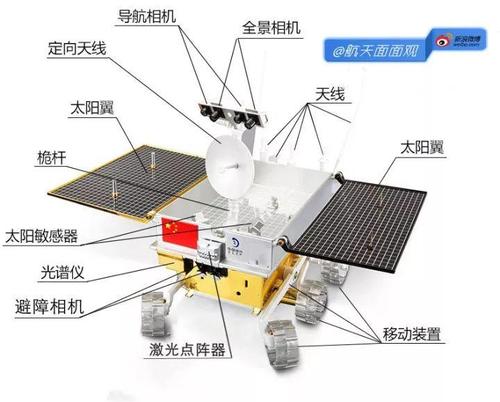 谦卑的成功_650字