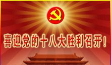 华夏喜迎十八大作文_250字