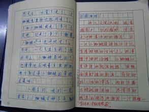 了解_600字