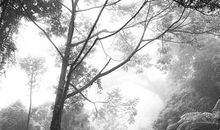 成长的风景_650字