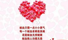 生命的礼物_1500字