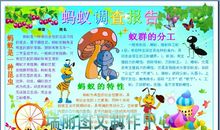 高一日记：观察蚂蚁_700字