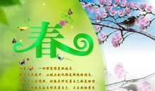 解读春天_1200字