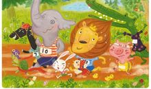 动物运动会_450字