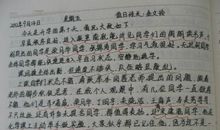 高一日记：“乡下老鼠和城里老鼠”_800字