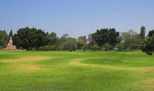 绿，夏的天堂_200字