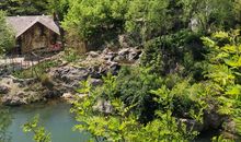 云芳歇，春色流_600字