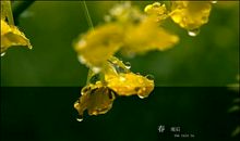 晓梦未觉春雨来_800字