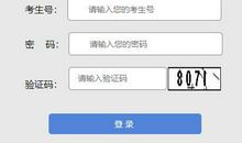 2008年山西高考满分作文：昂起头颅，我们不哭_800字