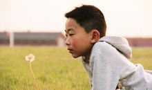 杨嘉诚个人简介