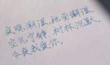 我的爱，沉默_650字