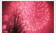 残红泣无声_1500字