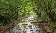 门前的一湾小溪_550字