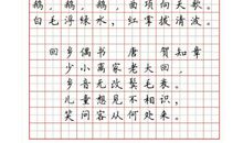 背古诗_450字