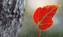 风很暖听风吹【1】_600字