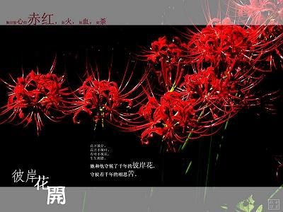 曼志华第一季寻找沙华_200字