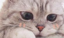 钻石少女1(本啦啦自编，不喜勿喷~)_500字