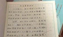 至希伟_450字