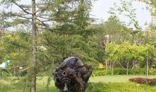 紫瞳（五）_900字