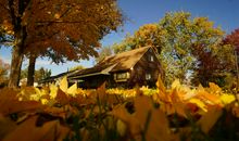 绕丶一缕晨曦（二）_750字