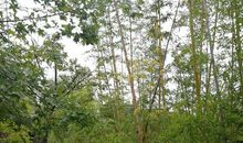 今生永不负君（四）_1000字