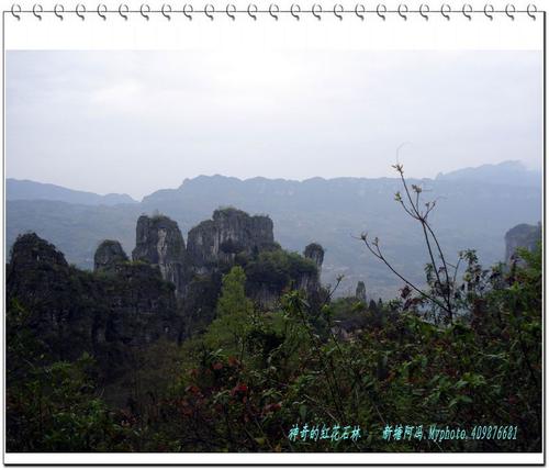 美丽的神奇石头森林_550字