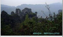 美丽神奇的石林_550字