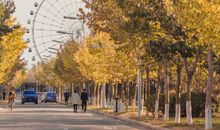 今生永不负君（三+三·续）_1200字