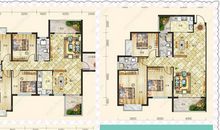 发现新天地——阳光吧_1500字