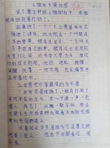 窗口在我的心中_250字
