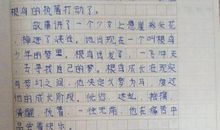 我心中的窗_250字