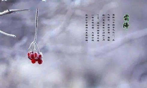 风吹了火焰，当天没有鸟。