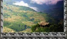 燕雁无心，太湖西畔随云去。