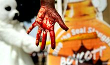 七月·猎杀（二）_800字