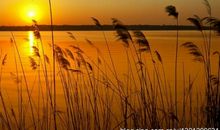 月落沙平江似练。望尽芦花无雁。