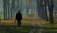 六月·孤独者的守望（四）_800字