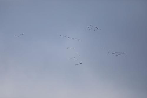 万利人民戈森，南村北飞行。