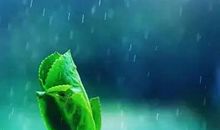 玉珰缄札何由达，万里云罗一雁飞。